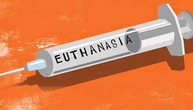 kallakurichi.news - 202103191507549694 Tamil News Tamil News Spain approves euthanasia law SECVPF